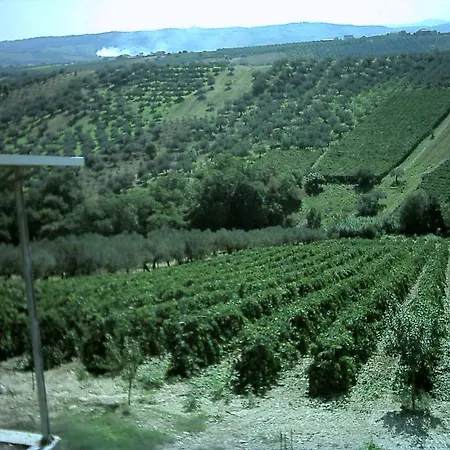 La Vigna Di Ranco Landhaus *